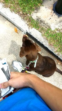 1922233_10152030594109833_698015987_n