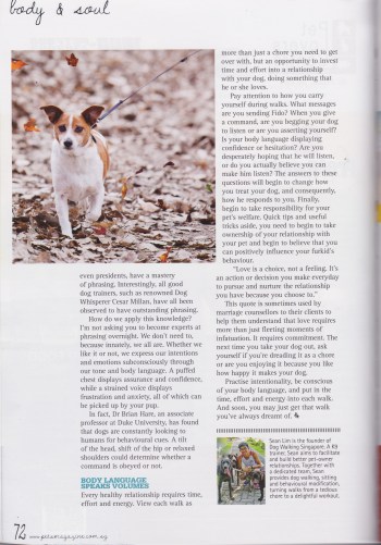 Pets Magazine 1